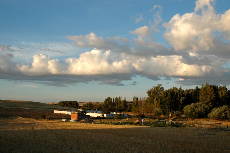 The cemetery