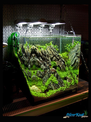 60 liter Cube - The Hobbit Theme Tank by Oliver Knott - NEW