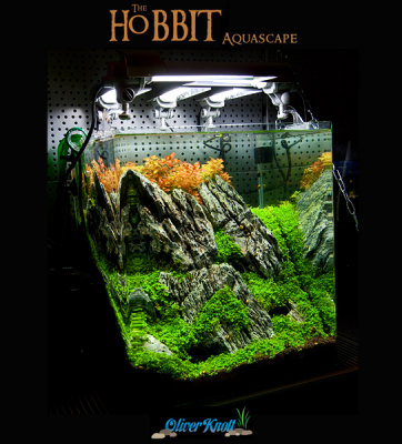 60 liter Cube - The Hobbit Theme Tank by Oliver Knott - NEW