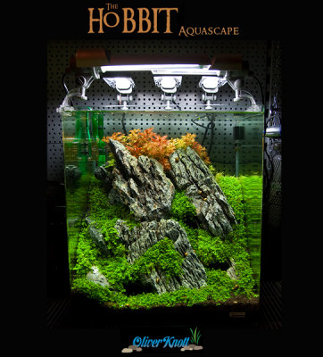 60 liter Cube - The Hobbit Theme Tank by Oliver Knott - NEW