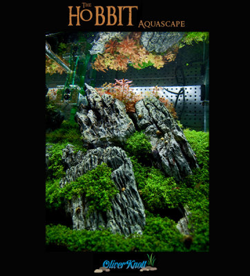 60 liter Cube - The Hobbit Theme Tank by Oliver Knott - NEW