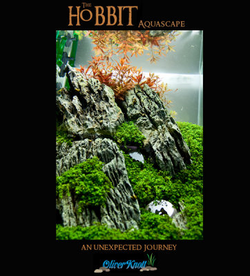 60 liter Cube - The Hobbit Theme Tank by Oliver Knott - NEW