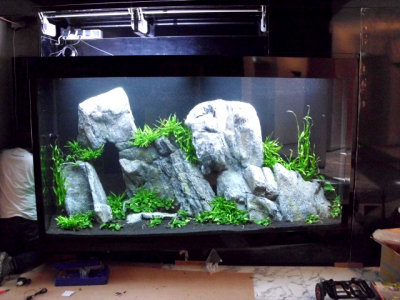 2.000 Liter Aquascape by Oliver Knott