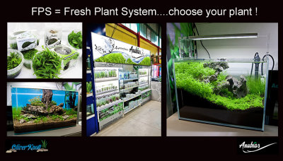 FPS - Fresh Plant System by Anubias 