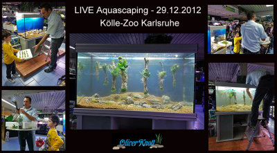 Live Aquascaping 29-12-2012 (Koelle-Zoo Karlsruhe)