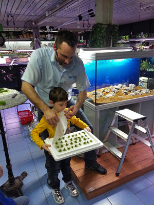 Live Aquascaping 29-12-2012 (Koelle-Zoo Karlsruhe)