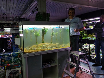 Live Aquascaping 29-12-2012 (Koelle-Zoo Karlsruhe)