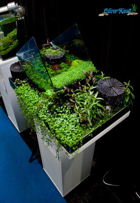 The Art of the Planted Aquarium 2013 