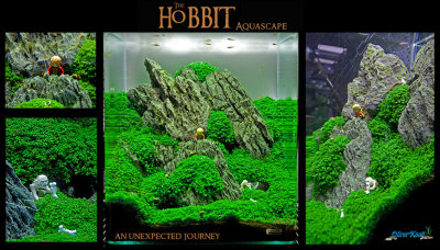 60 liter Cube - The Hobbit theme tank by Oliver Knott - NEW