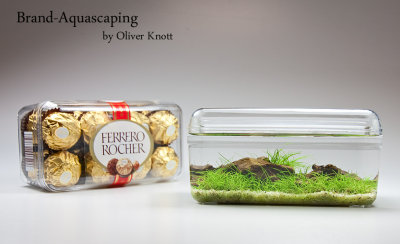 Brand Aquascaping by Oliver Knott