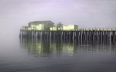 Cannery in Fog .jpg