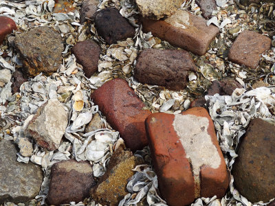 bricks and shells, fort sumter