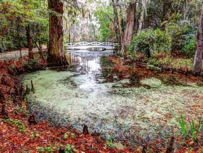 magnolia plantation and gardens