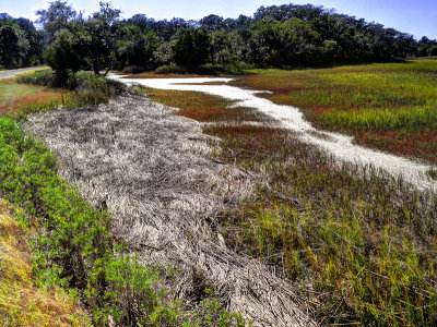 Pinckney Island Wildlife Reserve