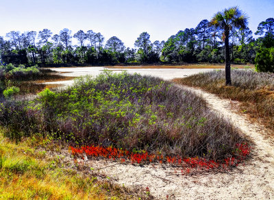 Pinckney Island Wildlife Reserve