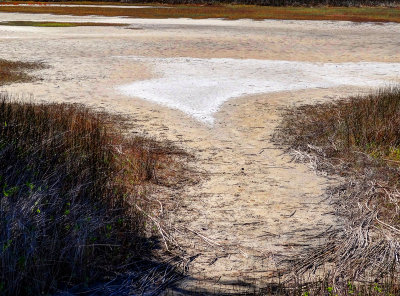 Pinckney Island Wildlife Reserve