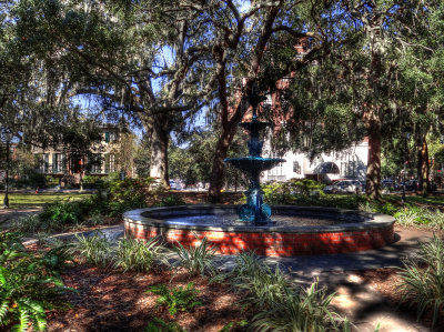 savannah