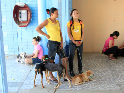 World Vets in San Juan del Sur (2013)