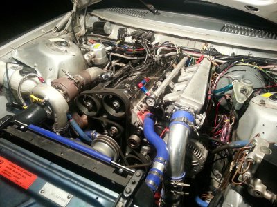 texas240