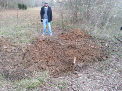 stump_gone.jpg