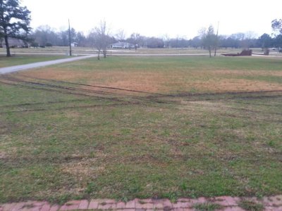 messed_up_yard.jpg