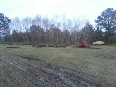 back_yard_current.jpg