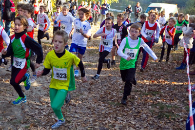 OGP_20121028_0218a.jpg