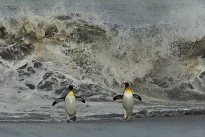 OGP_20121201_1067.jpg
