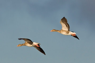 OGP_20121015_0004.jpg