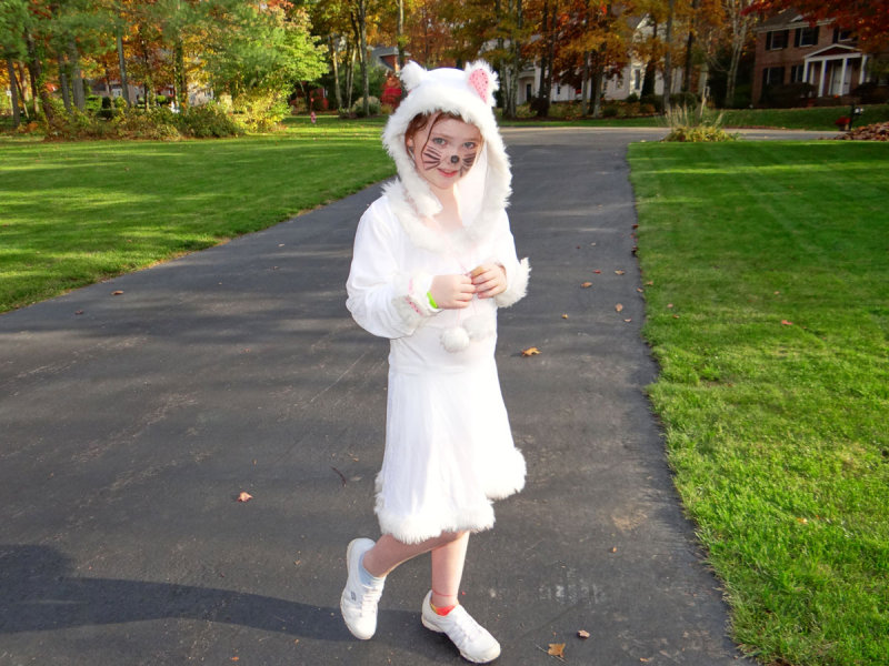 ellieCat.jpg