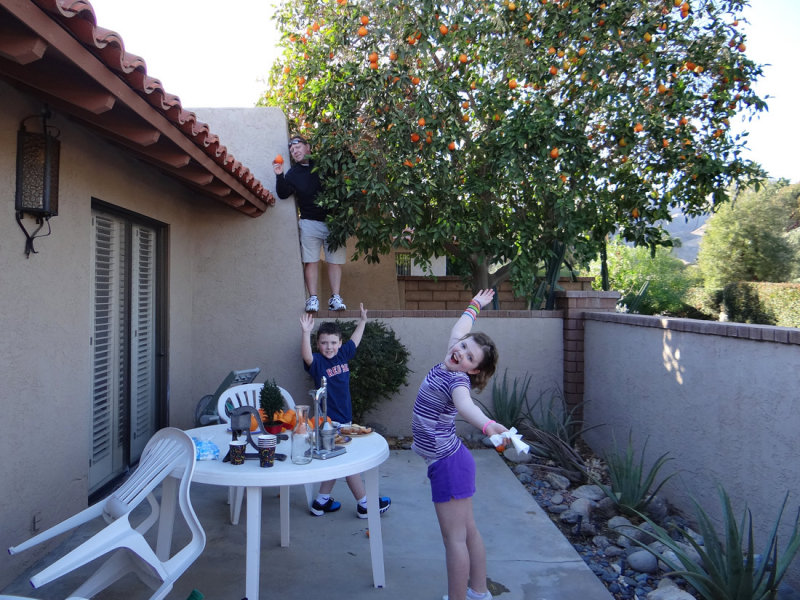 orangePicking2.jpg