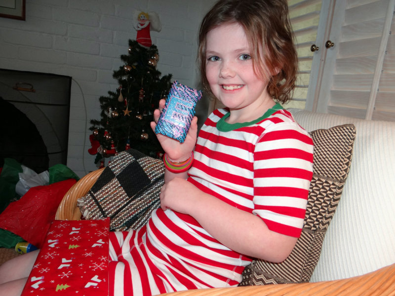 xmasEcase.jpg
