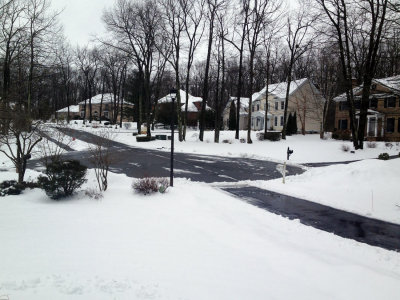 march_snow.JPG