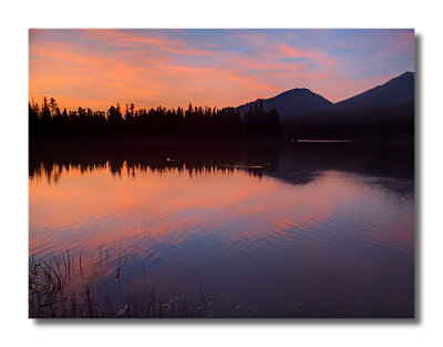 Sprague Lake Morning