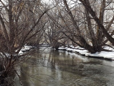 Portneuf River North of Pocatello