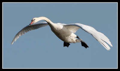 In flight