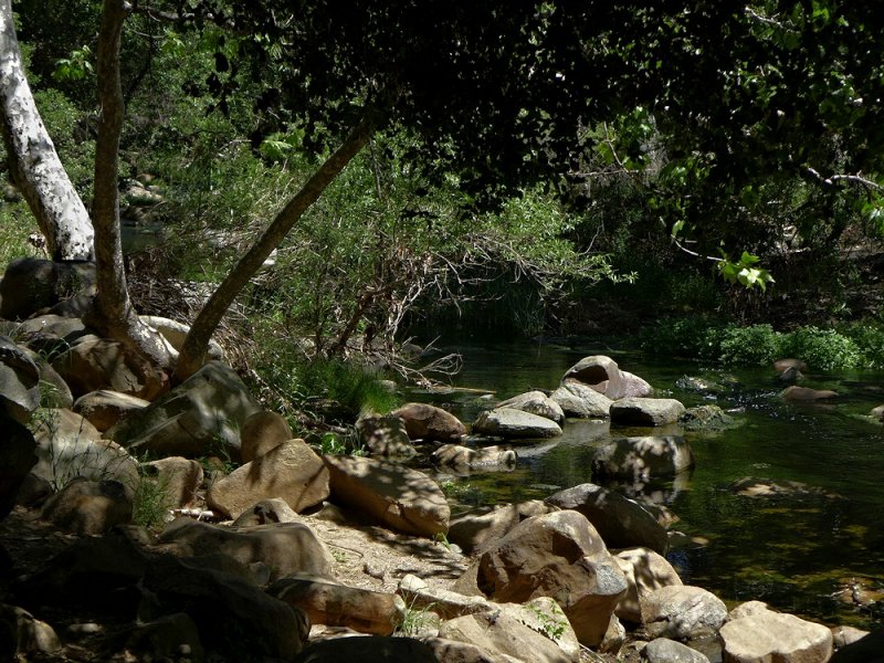 Creek - 13.jpg