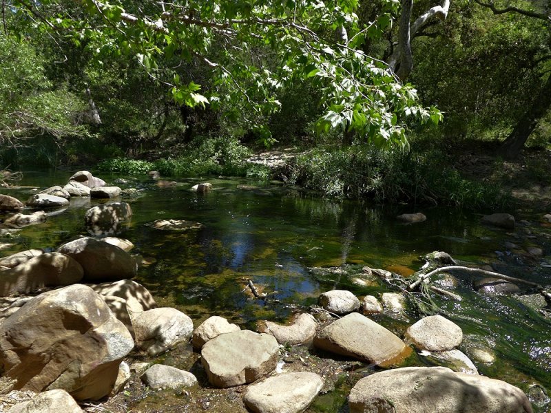 Creek - 18.jpg