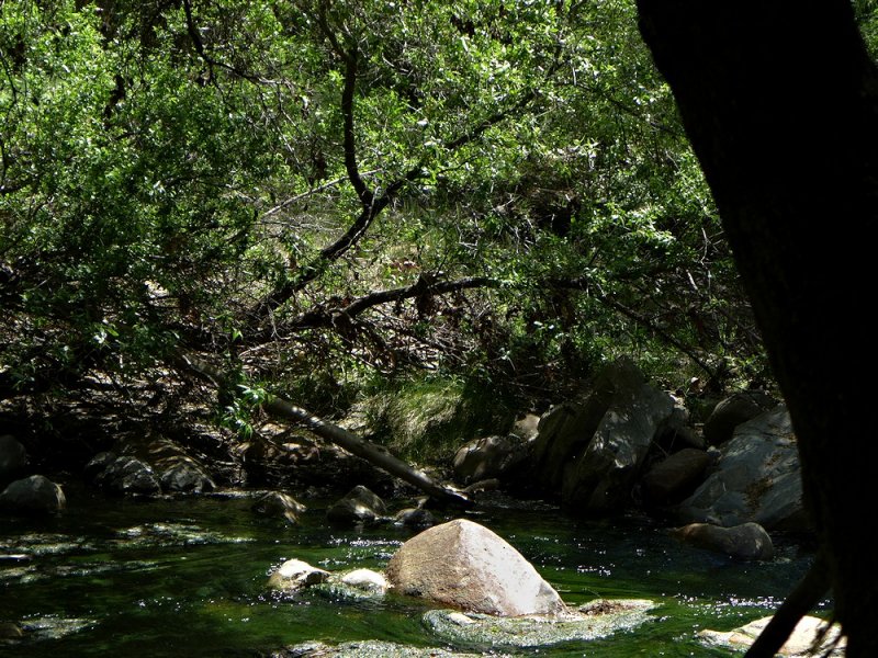 Creek - 19.jpg