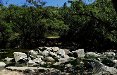 Creek - 8.jpg