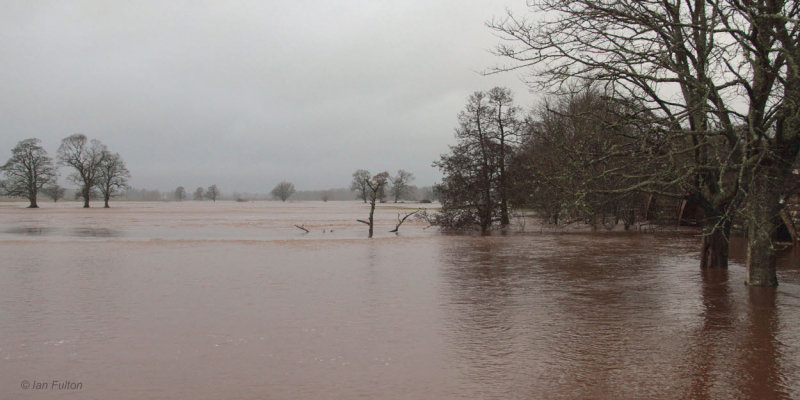 The Endrick Water at Drymen Bridge