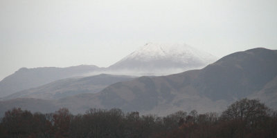 A grey and misty Ben Lomond with a dusting of overnight snow