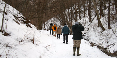Birding in the woods at Karuizawa, Honshu, Japan