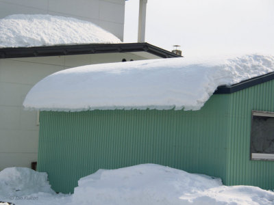 Roadside scene, Hokkaido, Japan