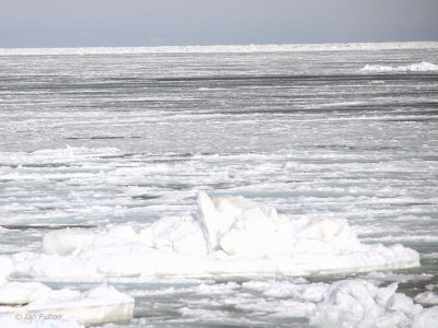 Sea ice off the Notsuke Peninsula, Hokkaido, Japan