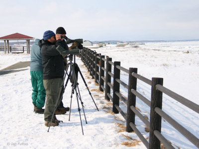 Birding at the Notsuke Peninsula, Hokkaido, Japan