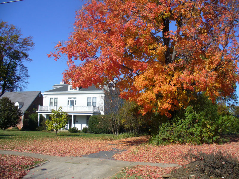 fall-home-rvmntP1040229.jpg