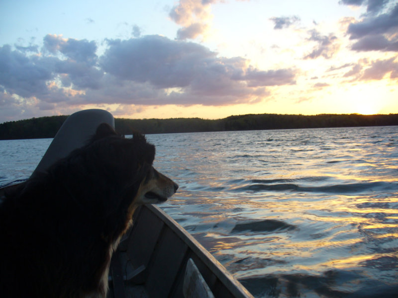 4-13-lakeP1040468.jpg