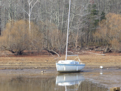 mudP1040306.jpg