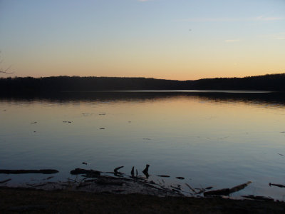 P1040416.jpg
